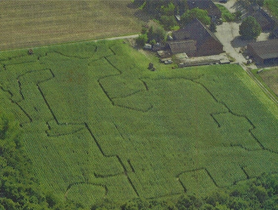 Maislabyrinth 2001 - Das erste Osnabrücker Maislabyrinth