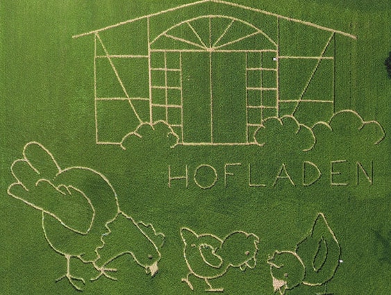 Maislabyrinth 2019 - Eine Liebeserklärung an den neuen Hofladen und unseren Hühner