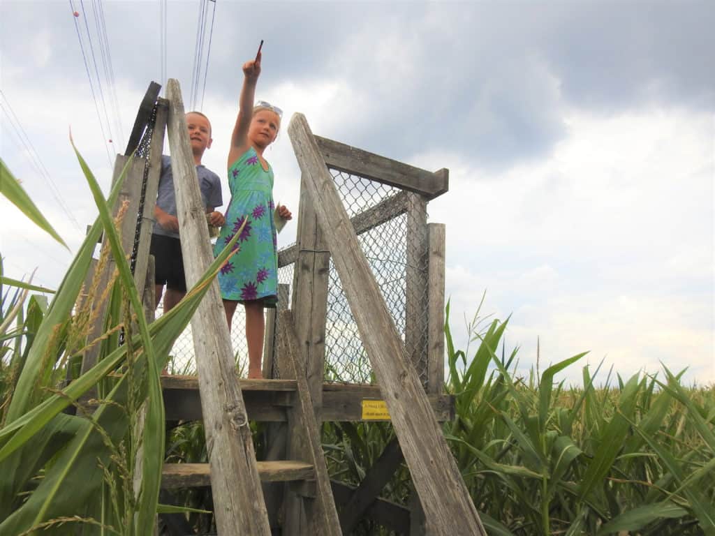 zwei Kinder im Maislabyrinth in Osnabrück